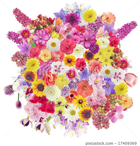 Many Flowers for Background 17409369