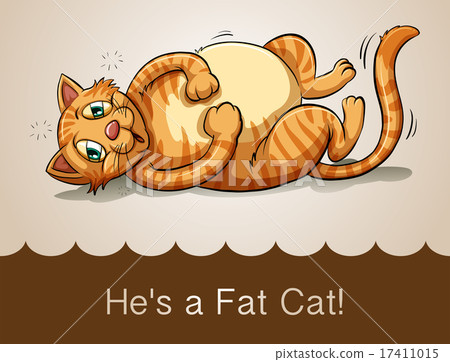 Fat cat lying on its back 17411015
