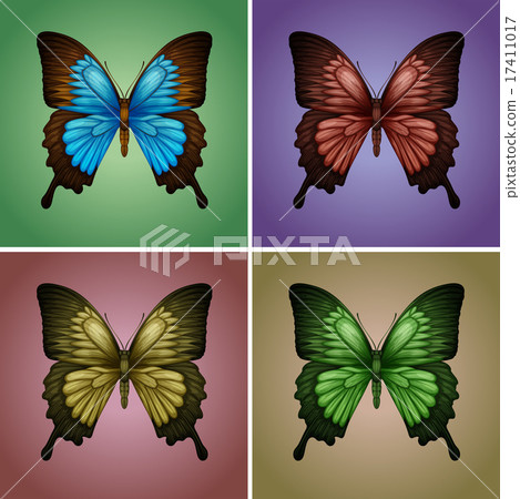 Butterflies in four colors Butterflies in four colors 17411017