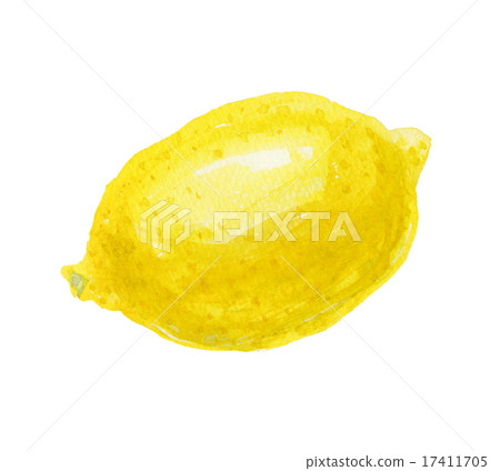 Lemon Lemon 17411705