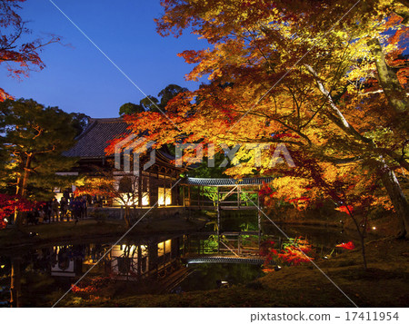 Kodai-ji colored leaves light up Kodai-ji colored leaves light up 17411954