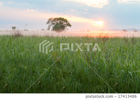 Sun illuminating morning fog 17413486