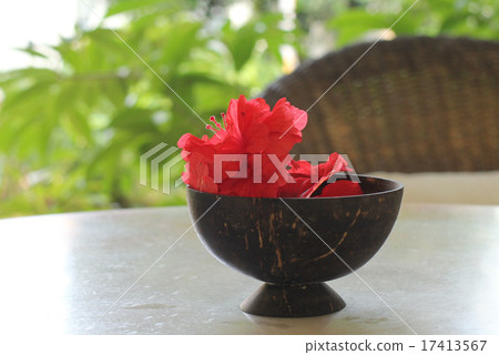 鮮花 17413567