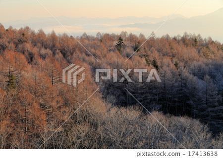 Yachiho高原在冬天在早晨太陽染色了 17413638