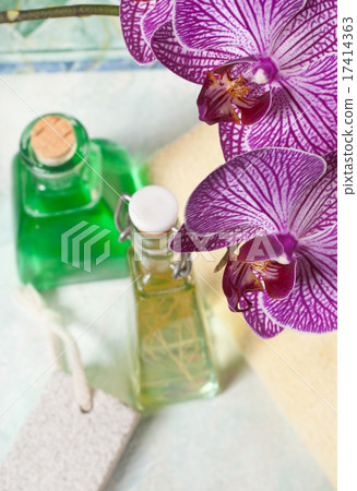 orchid in the bathroom orchid in the bathroom 17414363