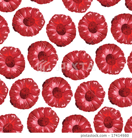 Raspberry seamless pattern 17414980