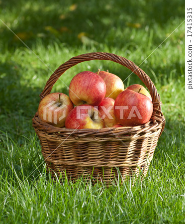 apples 17415315