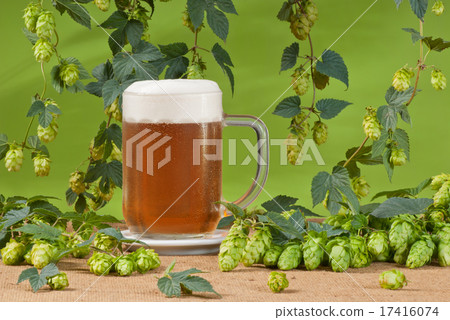 beer glass with hops 17416074