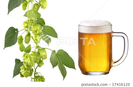 Beer And Hops 17416120