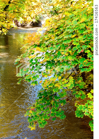 autumn scenery autumn scenery 17416563