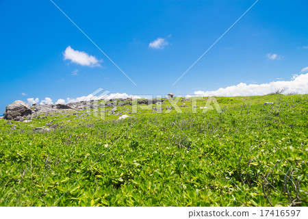 Okinawa prefecture residual waves 17416597