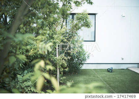 Garden implant 17417469