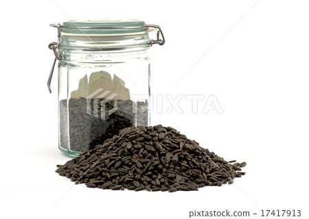 sunflower seed 17417913