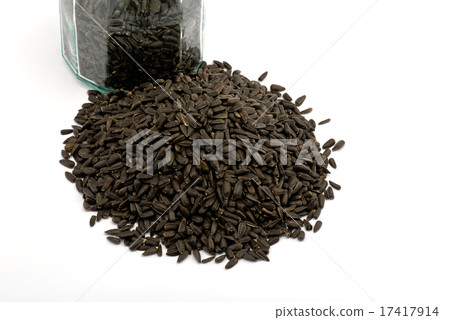 sunflower seed 17417914