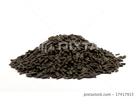 sunflower seed 17417915
