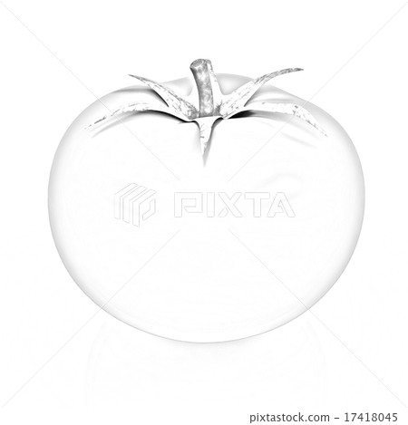 tomato tomato 17418045