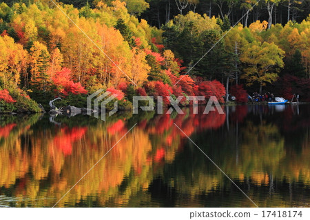 Shirakabakike秋葉 17418174