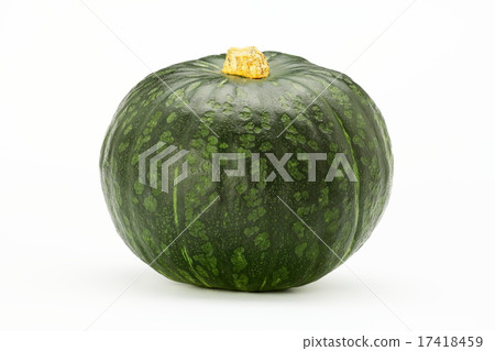 南瓜 南瓜 17418459