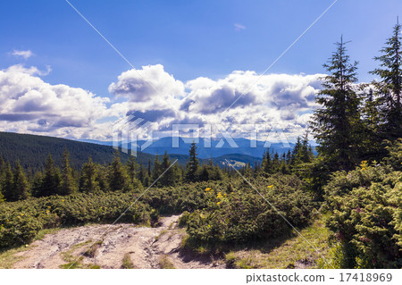 summer landscape 17418969