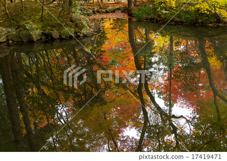 Autumn leaves of Nenzenji Tensenan 17419471