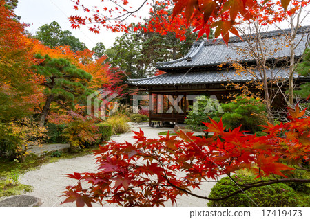 Nenzenji Tensenan秋葉 17419473