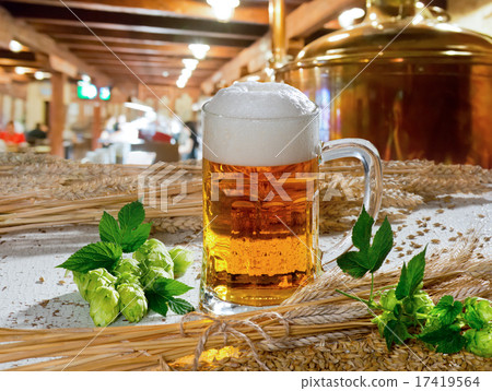 beer and hops 17419564