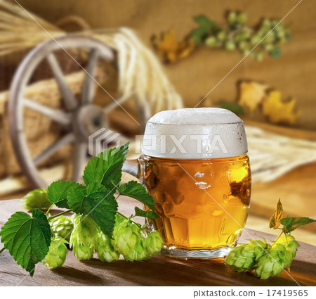 beer and hops 17419565