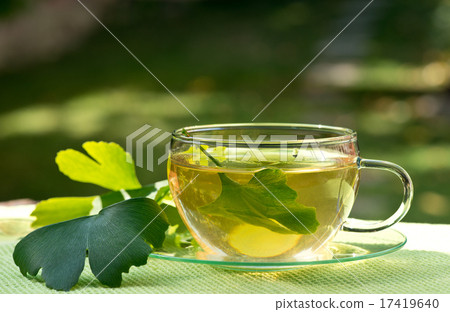 tea with herbaceous plant 17419640