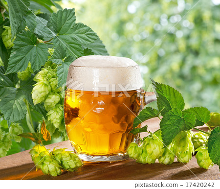 Beer and Hops 17420242