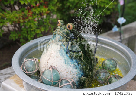 A frog object bathing in water Garden object 17421753