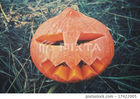 Halloween pumpkin Halloween pumpkin 17422005