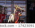 Dragon dancing 17423091