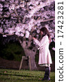 A cherry tree and a woman A cherry tree and a woman 17423281