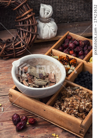 harvesting of medicinal herbs harvesting of medicinal herbs 17423632