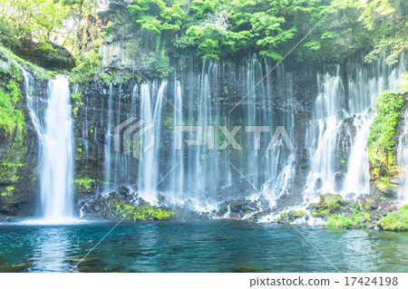 白rai瀑布[靜岡縣] 17424198