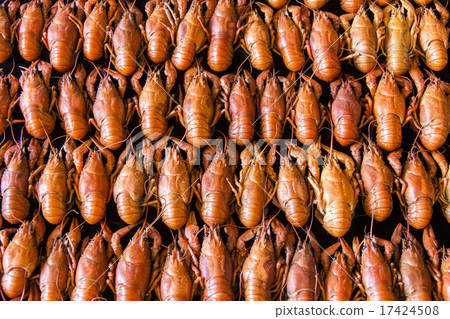 Many crawfishes 17424508