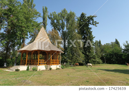 Snagov Abbey Garden Snagov Abbey Garden 17425639