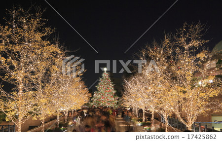 惠比壽花園照明 17425862