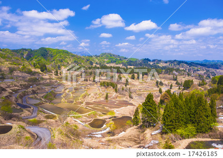 稻田春天 稻田春天 17426185