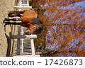Takahara Horse 17426873