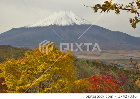 Autumn leaves of the 20th pass 17427336