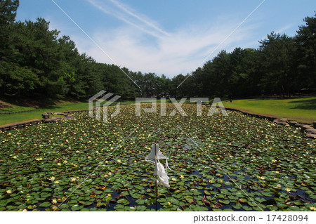 Misogi pond. Place where Izanaki nomikoto appearing in mythology of Japan (Misogi) 17428094