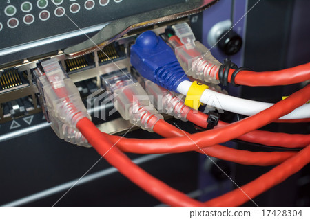 network cables connected to switch network cables connected to switch 17428304