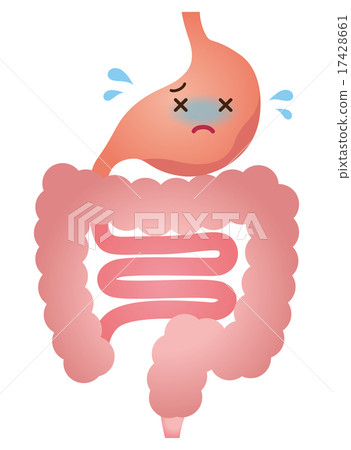 胃腸道消化道胃 17428661