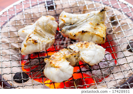 Blowfish 17428931