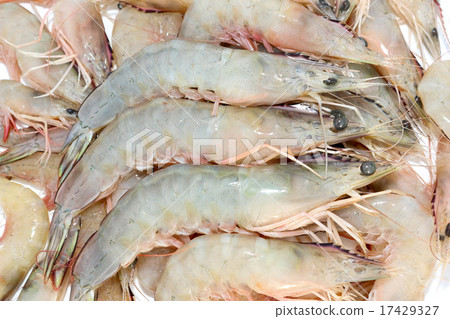 Fresh shrimp 17429327