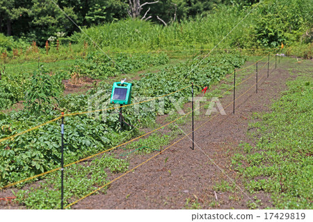 Field fence 17429819