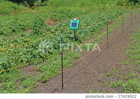 Field fence 17429822