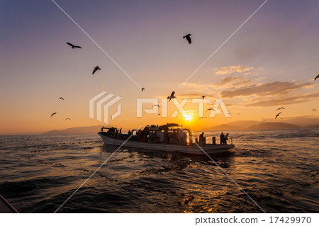 Fishing vessel 17429970