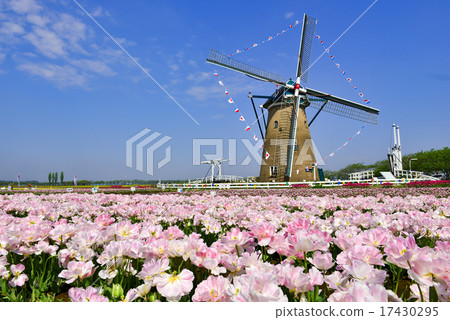 與風車的風景 與風車的風景 17430295